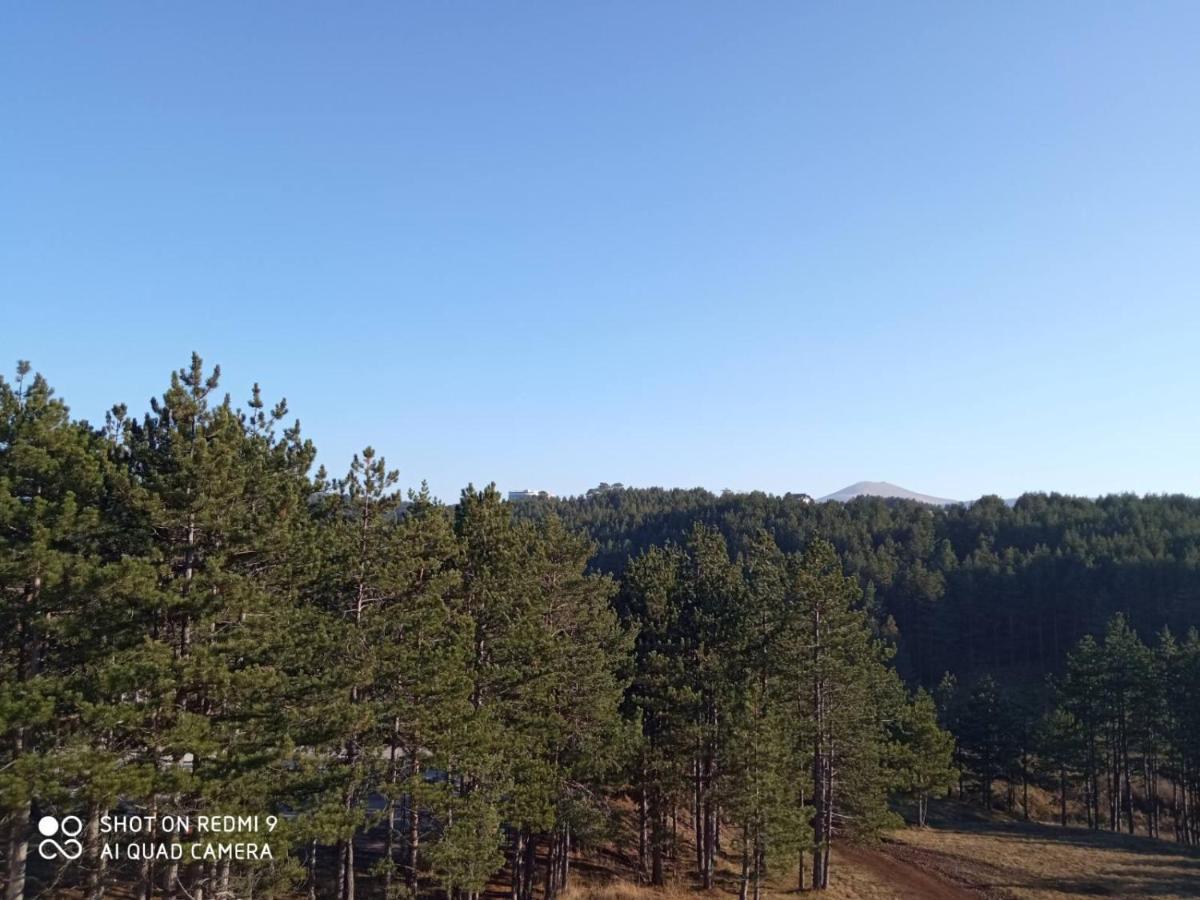 Nideho Estate Apartmani Zlatibor Eksteriør billede